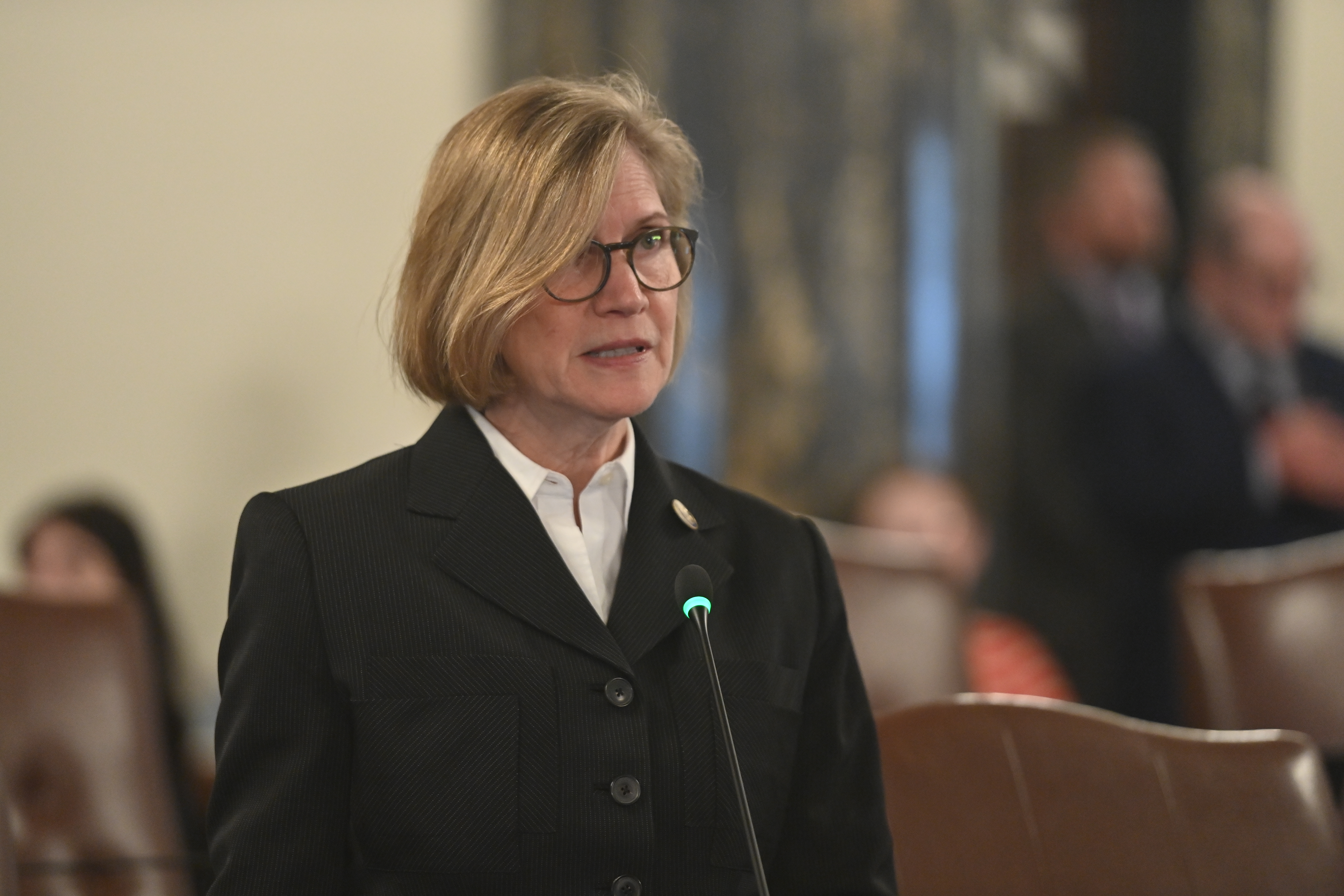 State Senator Glowiak-Hilton