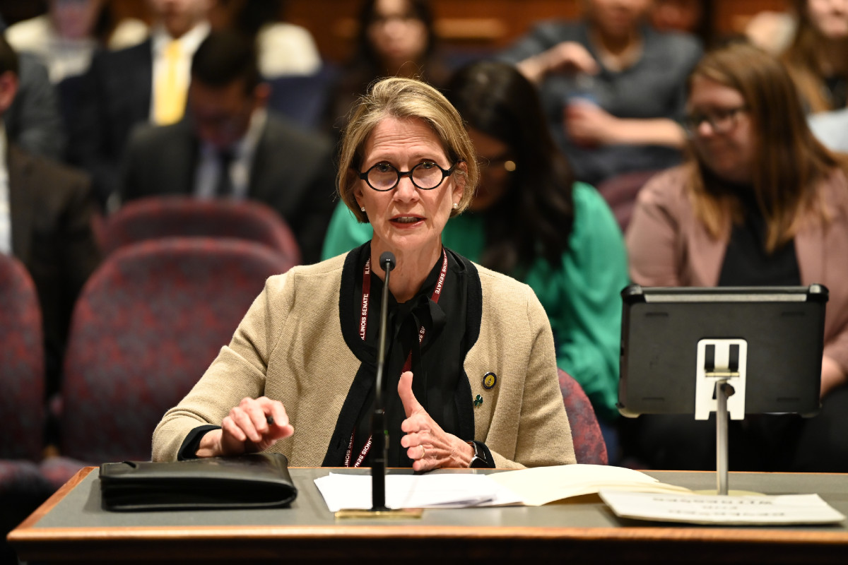 Senator Glowiak Hilton speaks into a microphone while seated at a table during a committee hearing