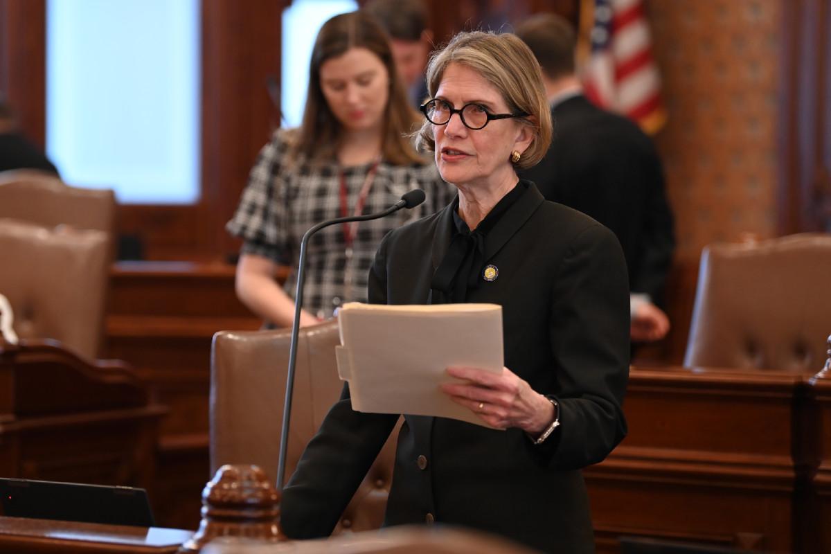 Senator Glowiak Hilton holds a file folder and speaks into a microphone in the Senate chamber.