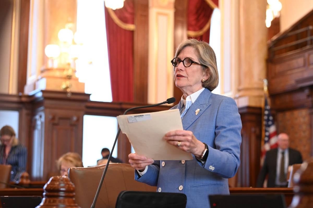 Senator Glowiak Hilton holds a file folder while speaking in the Senate chamber.