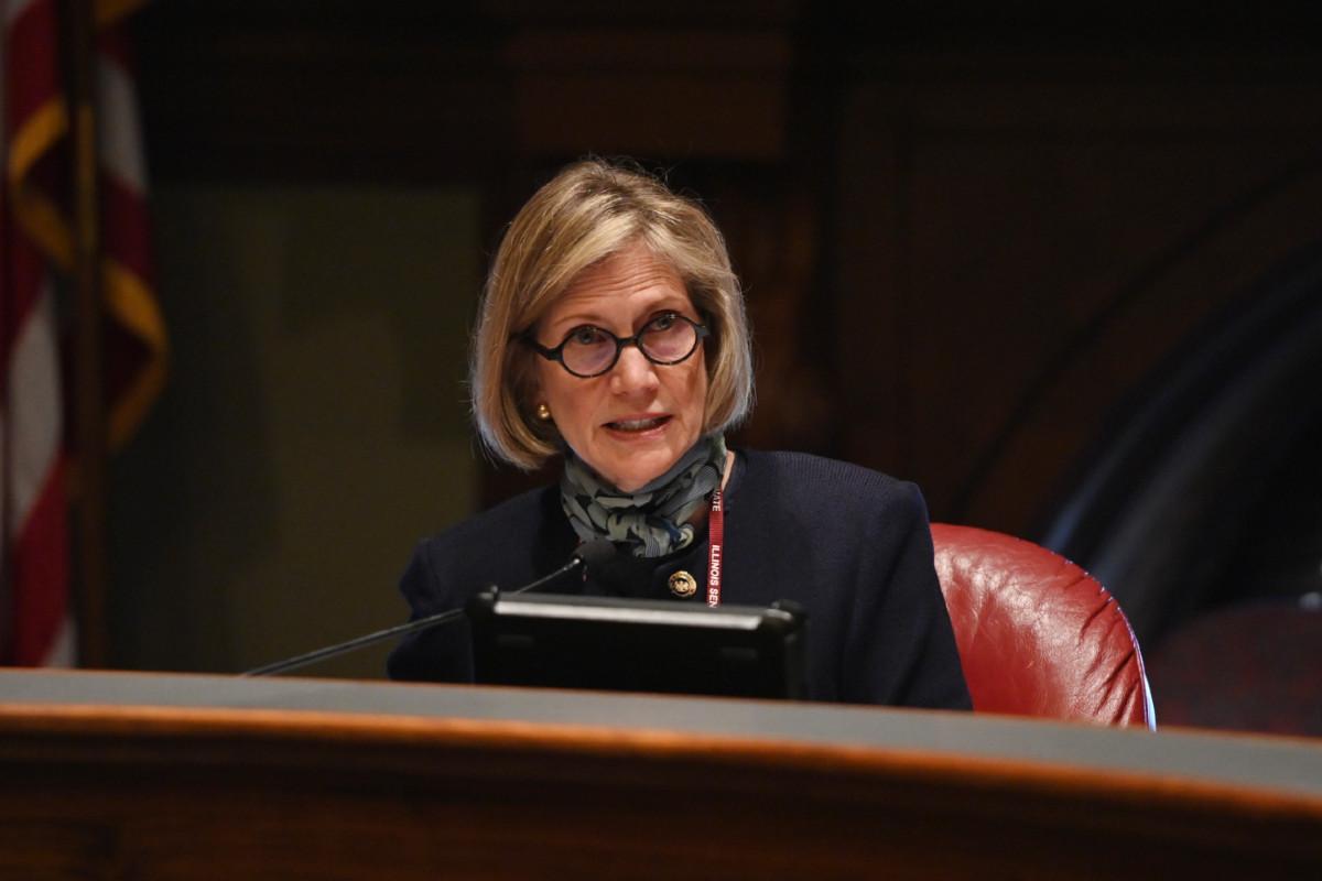 Senator Glowiak Hilton speaks while seated in a chair during a committee hearing.